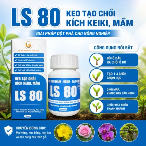 LS80 Kích Mầm Keiki Tạo Chồi Mới Cho Lan, Mai, Cây Kiểng Bonsai Hũ 30g