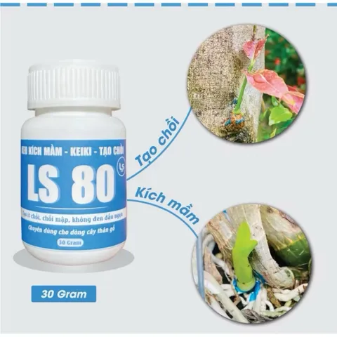 LS80 Kích Mầm Keiki Tạo Chồi Mới Cho Lan, Mai, Cây Kiểng Bonsai Hũ 30g