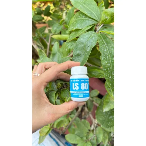 LS80 Kích Mầm Keiki Tạo Chồi Mới Cho Lan, Mai, Cây Kiểng Bonsai Hũ 30g