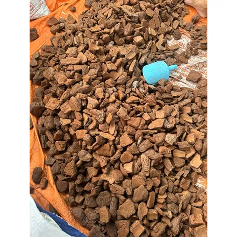 [ Combo 5kg] vỏ thông đỏ trồng lan đã được xử lý túi