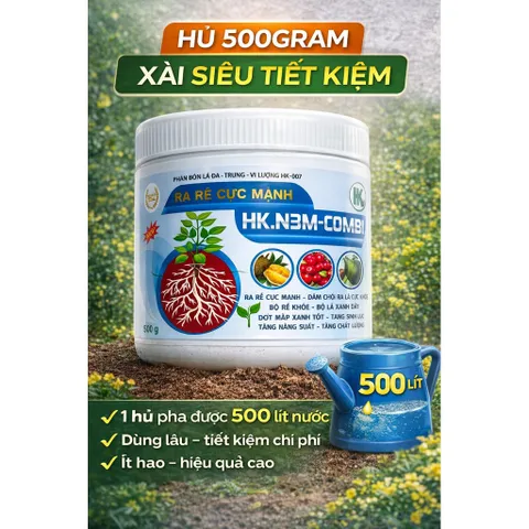 Siêu Ra Rễ Combi  – NPK 12-6-8+TE, Hỗ Trợ Ra Rễ, Bung Đọt, Dùng Cho Lan, Mai, Cây Kiểng