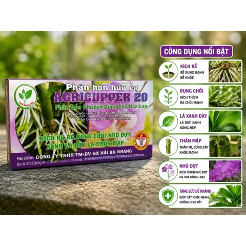 AGP Supper 20 - Phân Bón Hữu Cơ Cho Lan Hộp 20 Gói Dạng Bột/Dạng Viên Kích Rễ Bung Chồi Ra Hoa Đẹp