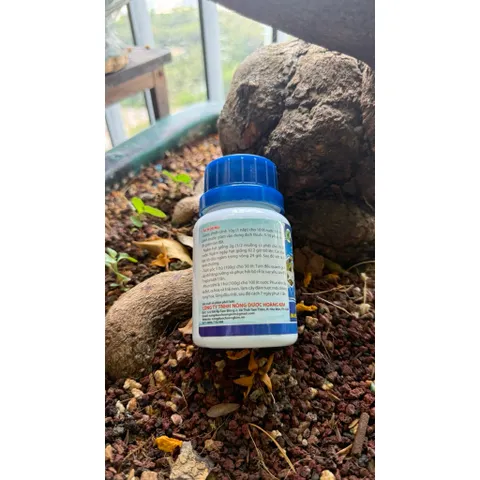 Siêu Ra Rễ Combi  – NPK 12-6-8+TE, Hỗ Trợ Ra Rễ, Bung Đọt, Dùng Cho Lan, Mai, Cây Kiểng