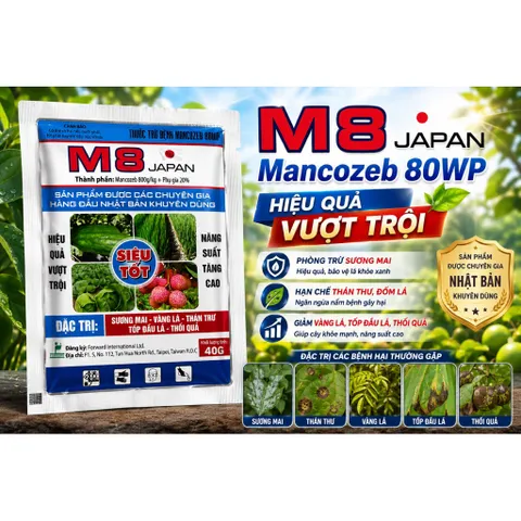 MANCOZEB XANH Phòng Trừ Thối Nhũn, Vàng Lá, Xoăn Đọt, Phấn Trắng, Khô Đầu Lá, Sương Mai…