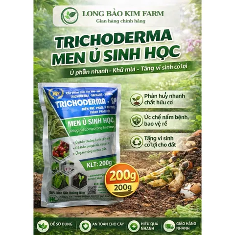 NẤM ĐỐI KHÁNG TRICHODERMA NÔNG DƯỢC HOÀNG KIM - Ủ phân hữu cơ, khử mùi rác thải, cải tạo đất, bảo vệ cây trồng