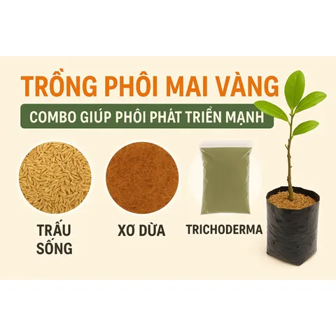 Giá Thể Trồng Cây: Trấu Sống + Xơ Dừa + Trichoderma - Hỗ Trợ Phát Triển Rễ, Phòng Ngừa Nấm Bệnh gói 5dm3