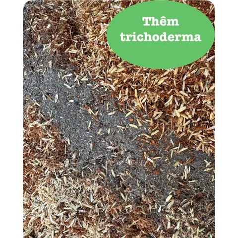 Giá Thể Trồng Cây: Trấu Sống + Xơ Dừa + Trichoderma - Hỗ Trợ Phát Triển Rễ, Phòng Ngừa Nấm Bệnh gói 5dm3