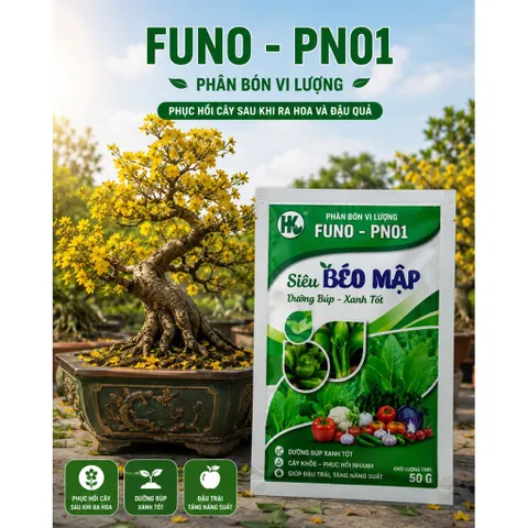 [ Combo 5 gói] Phân Bón Vi Lượng Siêu Béo Mập 50G | Phục Hồi Cây Sau Ra Hoa Đậu Quả | Dưỡng Búp Xanh , Cành To Thân Mập