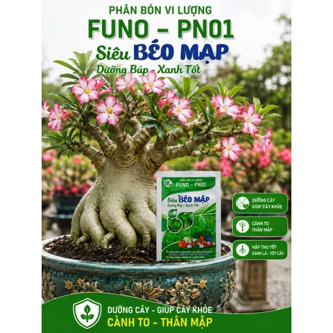 [ Combo 5 gói] Phân Bón Vi Lượng Siêu Béo Mập 50G | Phục Hồi Cây Sau Ra Hoa Đậu Quả | Dưỡng Búp Xanh , Cành To Thân Mập