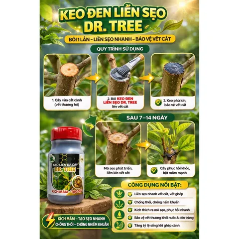 Keo Đen Liền Da Cây Dr.Tree  – Keo Ghép Cành, Liền Sẹo Nhanh, Chống Nấm Khuẩn