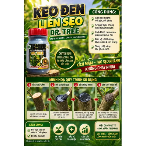 Keo Đen Liền Da Cây Dr.Tree  – Keo Ghép Cành, Liền Sẹo Nhanh, Chống Nấm Khuẩn