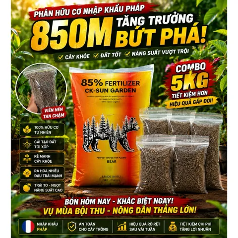 [ Combo 10kg] Hữu cơ Pháp nhập khẩu viên nén hạt đẹp hàm lượng 85 OM