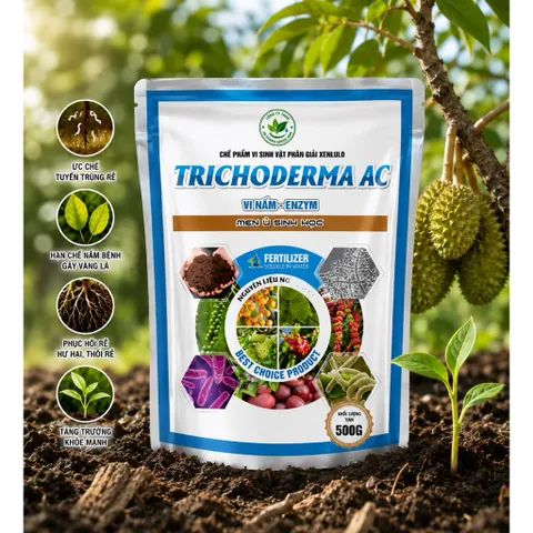 TRICHODERMA AC 500G Vi Nấm Men Ủ Sinh Học Phân Giải Hữu Cơ Phòng Tuyến Trùng Cải Tạo Đất Thối Rễ Vàng Lá