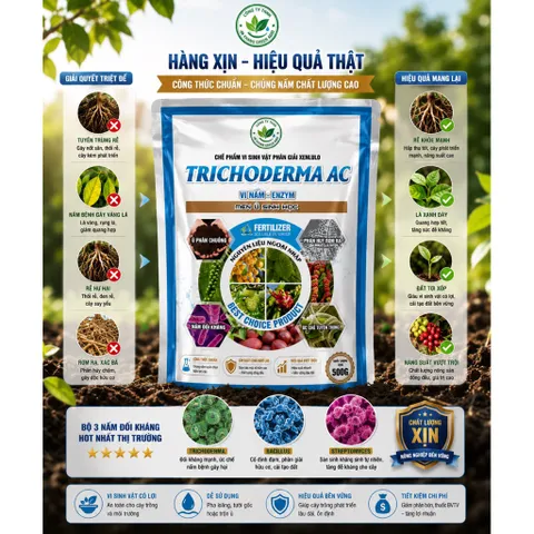 TRICHODERMA AC 500G Vi Nấm Men Ủ Sinh Học Phân Giải Hữu Cơ Phòng Tuyến Trùng Cải Tạo Đất Thối Rễ Vàng Lá