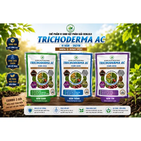 TRICHODERMA AC 500G Vi Nấm Men Ủ Sinh Học Phân Giải Hữu Cơ Phòng Tuyến Trùng Cải Tạo Đất Thối Rễ Vàng Lá