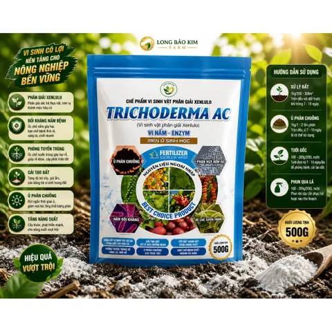 TRICHODERMA AC 500G Vi Nấm Men Ủ Sinh Học Phân Giải Hữu Cơ Phòng Tuyến Trùng Cải Tạo Đất Thối Rễ Vàng Lá