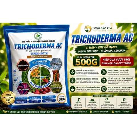 TRICHODERMA AC 500G Vi Nấm Men Ủ Sinh Học Phân Giải Hữu Cơ Phòng Tuyến Trùng Cải Tạo Đất Thối Rễ Vàng Lá