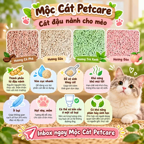 CÁT ĐẬU NÀNH TFOR 6L/TÚI – KHỬ MÙI TỐT, ÍT BỤI, ÍT BẾT ĐÁY-5 HƯƠNG THƠM
