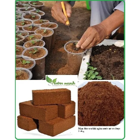 Combo 10 Viên Nén Xơ Dừa, Đất Trồng Cây Hữu Cơ Tiện Lợi, Giàu Chất Dinh Dưỡng