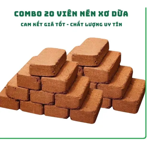 Combo 10 Viên Nén Xơ Dừa, Đất Trồng Cây Hữu Cơ Tiện Lợi, Giàu Chất Dinh Dưỡng