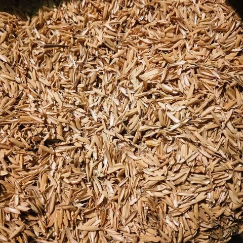 3 Kg Trấu trồng cây - trấu khô sạch - hàng có sẵn