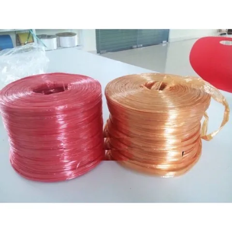 Dây nilon buộc hàng, dây dứa buộc hàng nhiều màu sắc 500g - 800g