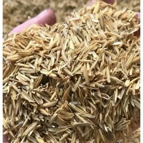 3 kg trấu khô, trấu sống, trấu sạch