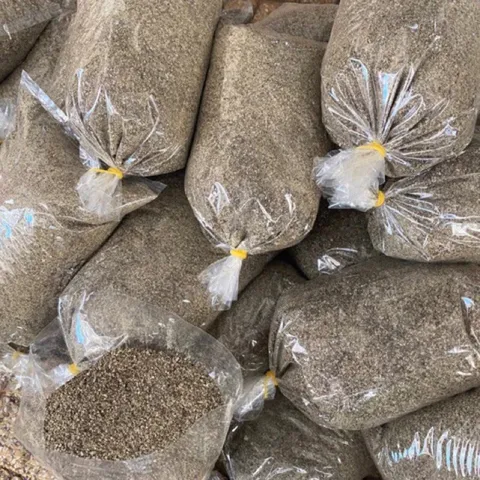 Tiêu xay sẵn nguyên chất 500g