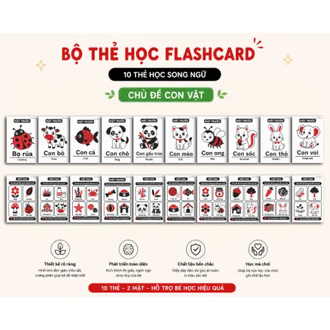 Thẻ Học Flashcard Cho Bé Song Ngữ Việt Anh - Combo 10 Thẻ học thông minh | Học Từ Vựng, Nhận Biết Thế Giới Quanh Bé