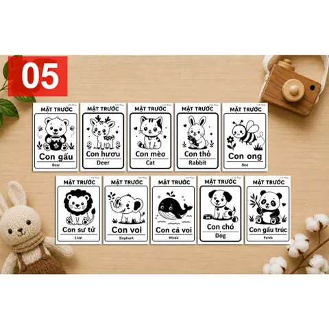 Flashcard Kích Thích Thị Giác A5 Cho Bé Sơ Sinh Đen Trắng 0-12 Tháng Thẻ Học Montessori Song Ngữ Việt Anh
