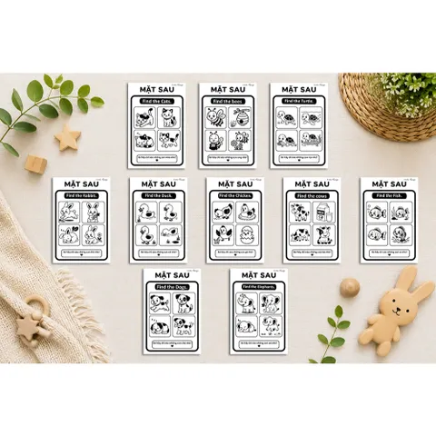 Flashcard Kích Thích Thị Giác A5 Cho Bé Sơ Sinh Đen Trắng 0-12 Tháng Thẻ Học Montessori Song Ngữ Việt Anh