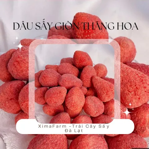 DÂU SẤY GIÒN ĐÀ LẠT ( TRÁI  LOẠI 1 SIZE TO )| CÔNG NGHỆ SẤY THĂNG HOA