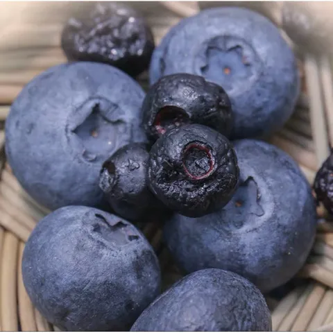 MIX 4 LOẠI VIỆT QUẤT, NHO KHÔ MIX, DÂU TÂY, TÁO XANH - XIMAFARM