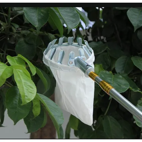Vợt Hái Trái Cây Trên Cao Đa Năng Kèm Túi Vải, Dụng Cụ Hái Hoa Quả Kim Loại Siêu Bền Đẹp