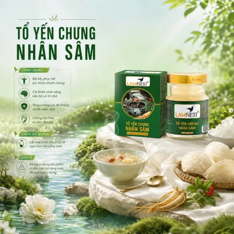 [COMBO] Set 6/10 hũ yến chưng nhân sâm Yến sào Lamnest 4gram yến tươi nguyên chất