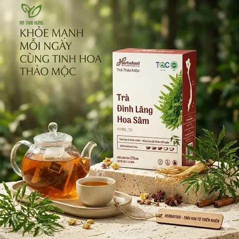Herbafood Trà Đinh Lăng Hoa Sâm Hỗ trợ ngủ ngon An thần giảm stress Bồi bổ sức khỏe 60 túi lọc 4,5g