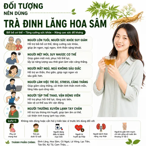 Herbafood Trà Đinh Lăng Hoa Sâm Hỗ trợ ngủ ngon An thần giảm stress Bồi bổ sức khỏe 60 túi lọc 4,5g