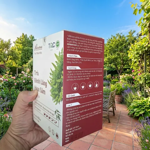 Herbafood Trà Đinh Lăng Hoa Sâm Hỗ trợ ngủ ngon An thần giảm stress Bồi bổ sức khỏe 60 túi lọc 4,5g