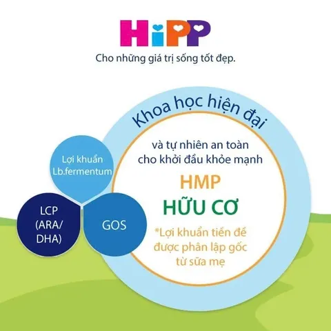 Sữa bột công thức HiPP Organic bổ sung HMP&GOS Lon 800g