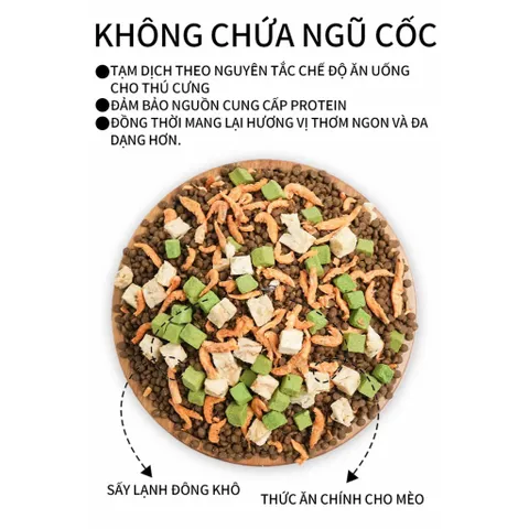 [1KG, 5KG] Thức ăn hạt Cat and friend V2 V3 V1 siêu nhiều topping giúp phục hồi toàn diện