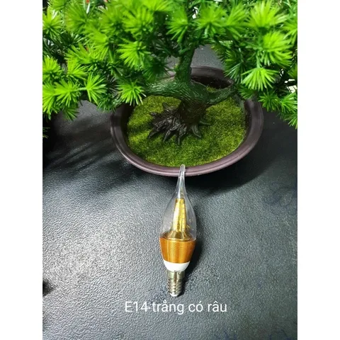 Bóng nến 5w trang trí đủ Các màu cam ket giá rẽ nhất khu vực.
