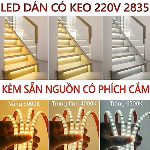 Combo 3M, 5M, 10M kèm nguồn led có keo dây hắc trần, tủ kệ, quấn cây siêu sáng, keo sẵn