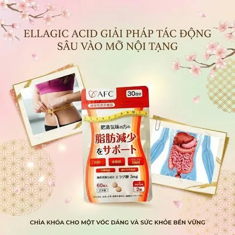 [CHÍNH HÃNG] Viên Uống Ellagic Acid AFC Nhật Bản (Gói 60 Viên) 902626