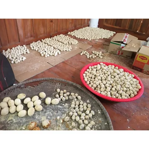 1kg bột làm trứng Bắc thảo