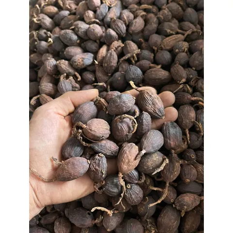 Thảo Quả Khô Nguyên Hạt - Gia Vị Nấu Phở, Hầm, Kho, Tạo Hương Thơm Đặc Trưng Cho Món Ăn
