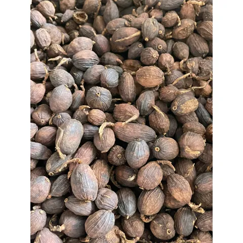 Thảo Quả Khô Nguyên Hạt - Gia Vị Nấu Phở, Hầm, Kho, Tạo Hương Thơm Đặc Trưng Cho Món Ăn