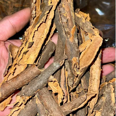1KG Quế Mảnh Vụn Văn Yên Thơm Cay | Nhiều Tinh Dầu | Nấu Phở - Pha Trà - Gia Vị