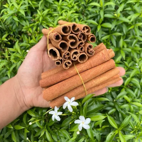 COMBO TIẾT KIỆM 1KG QUẾ SÁO + 1KG QUẾ VỤN VĂN YÊN CHÍNH GỐC THƠM CAY