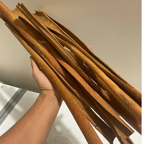 Quế Thanh Xòe 35-45cm Tự Nhiên | Quế Khô Làm Gia Vị Nấu Phở Bò Kho | Quế Decor Trang Trí Handmade