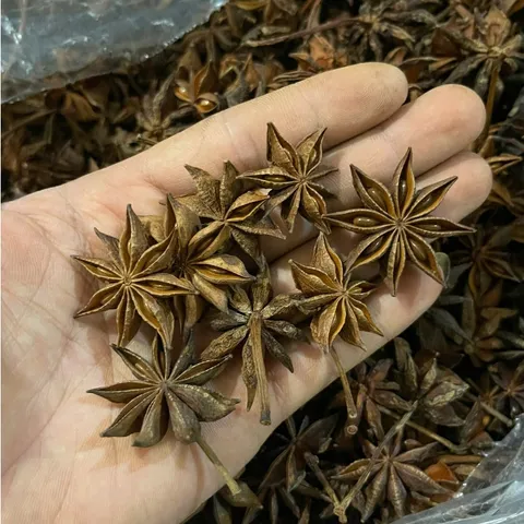 Hoa Hồi Khô Lạng Sơn Nguyên Chất Thơm Cay Nồng - Nấu Phở, Kho Thịt, Pha Trà